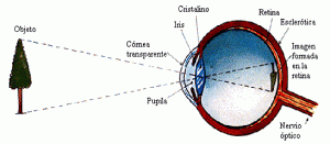 acomodacion